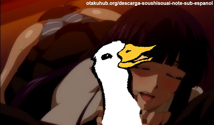 02.png  by BlackStarSkan