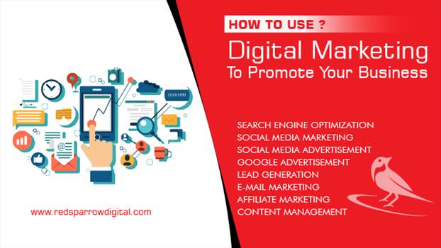 digital marketing agency dhaka.jpg by redsparrowdigital