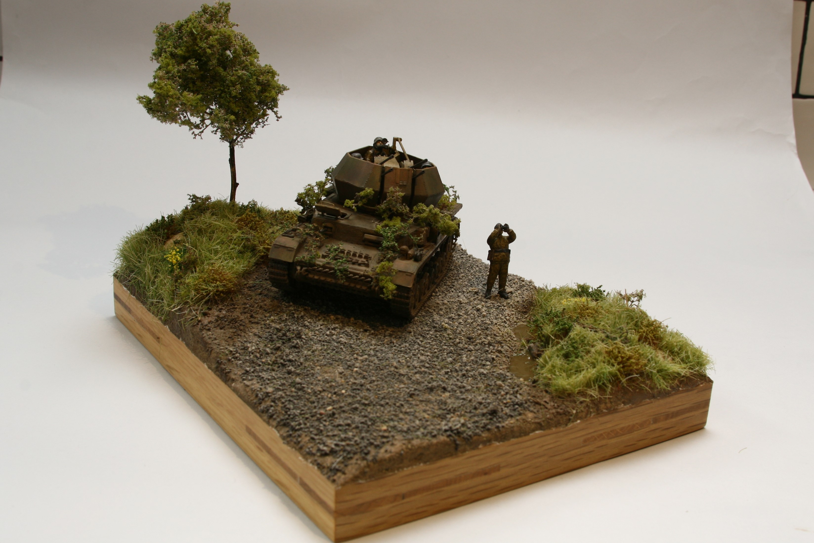 IMG_3627 (2).JPG  by StuartH