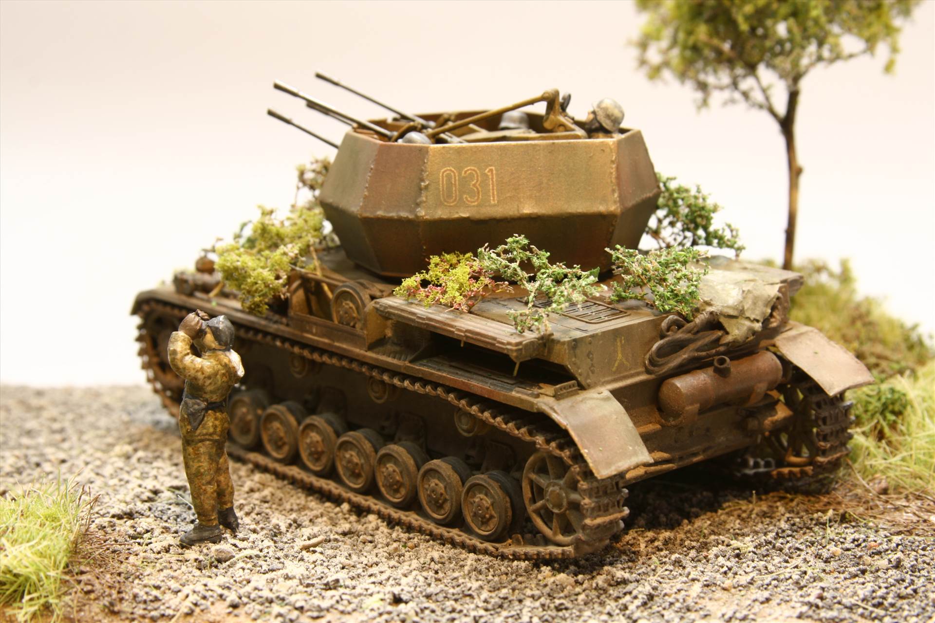 IMG_3661.JPG  by StuartH