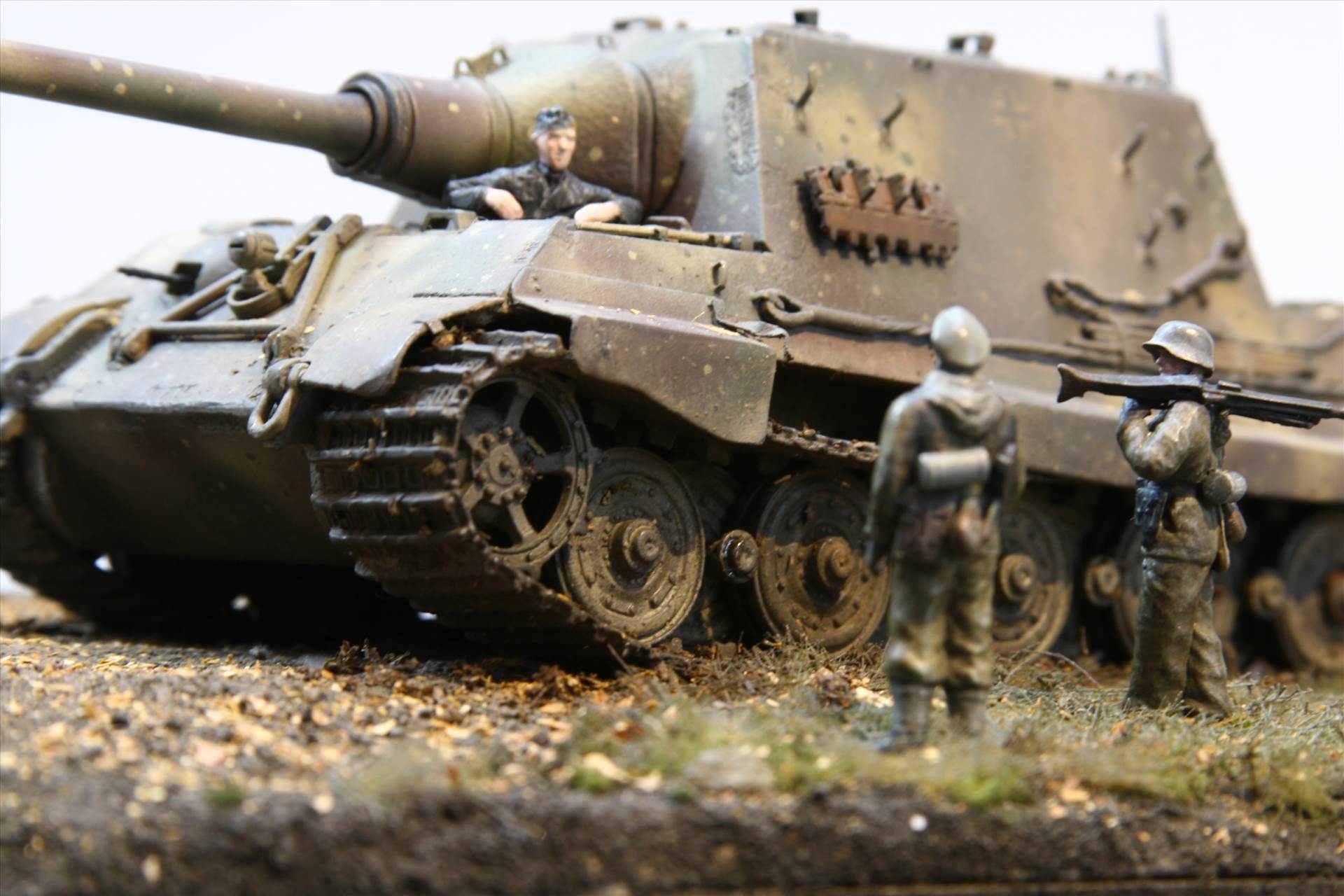 IMG_4073.JPG  by StuartH