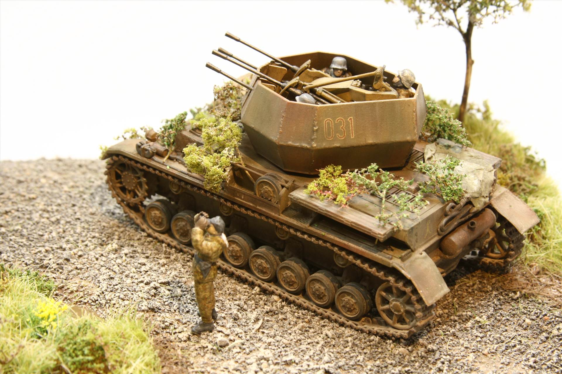 IMG_3632.JPG  by StuartH