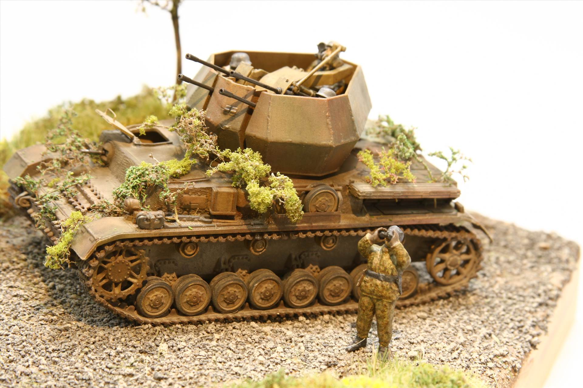 IMG_3637.JPG  by StuartH