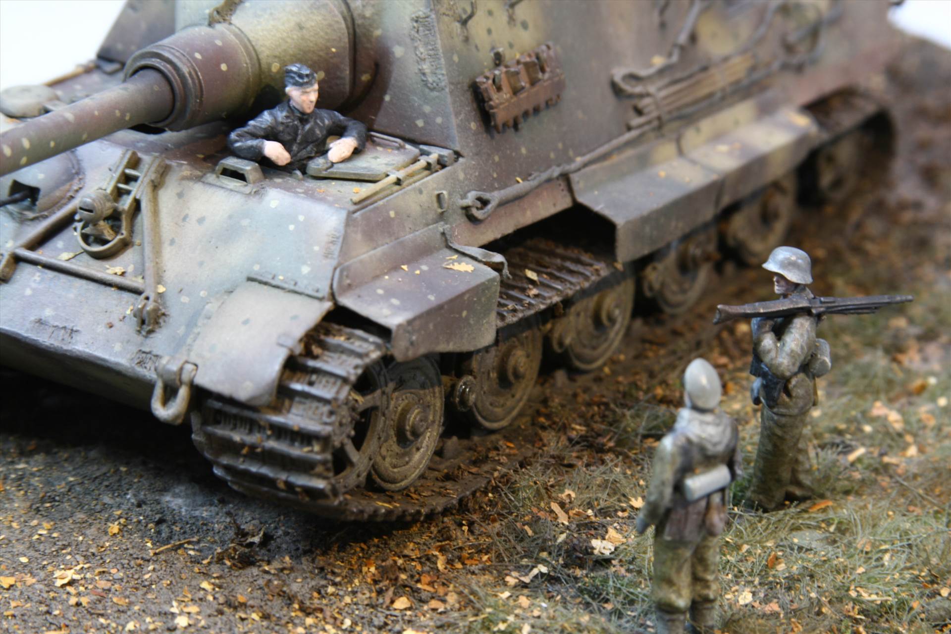 IMG_4049.JPG  by StuartH