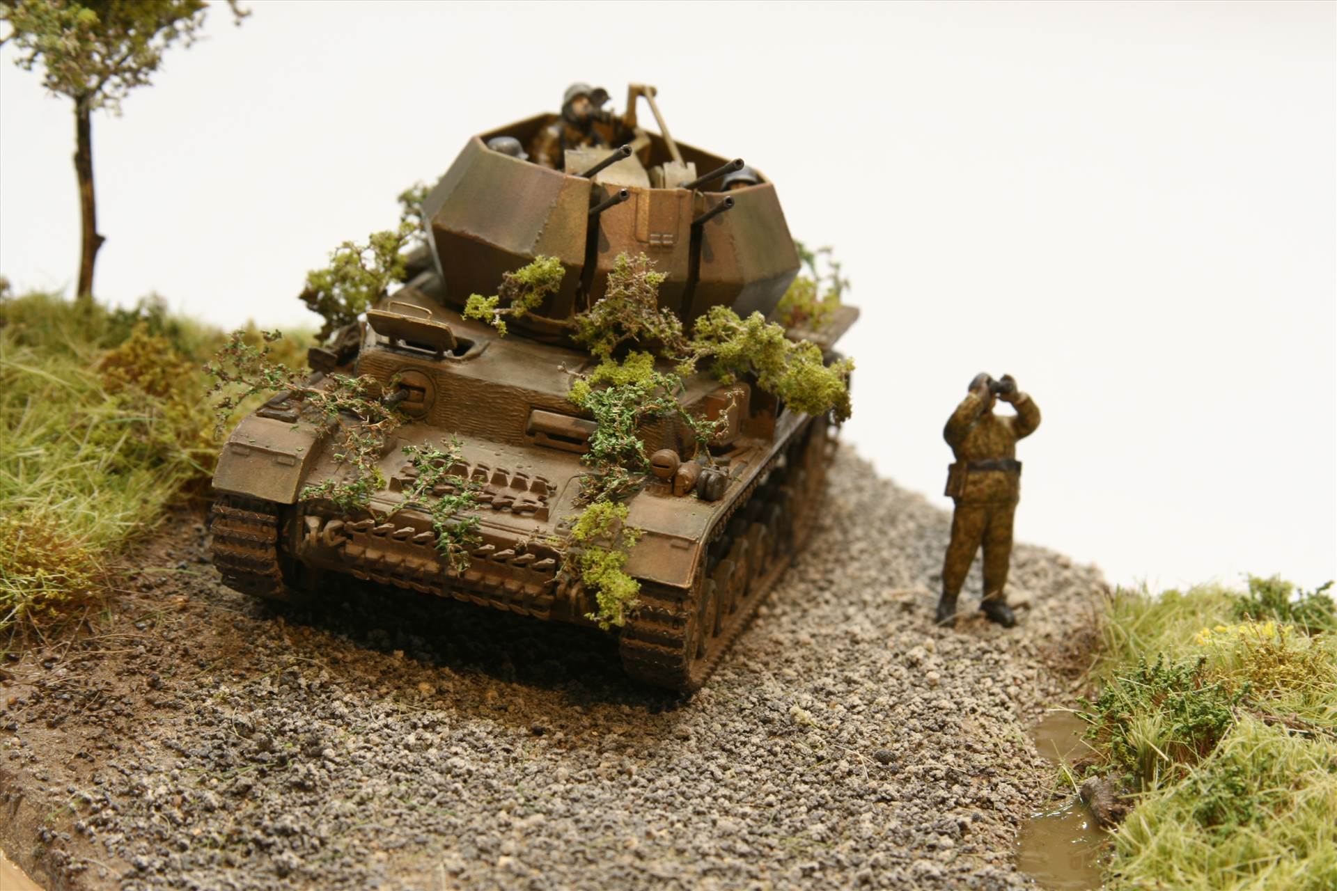 IMG_3629.JPG  by StuartH