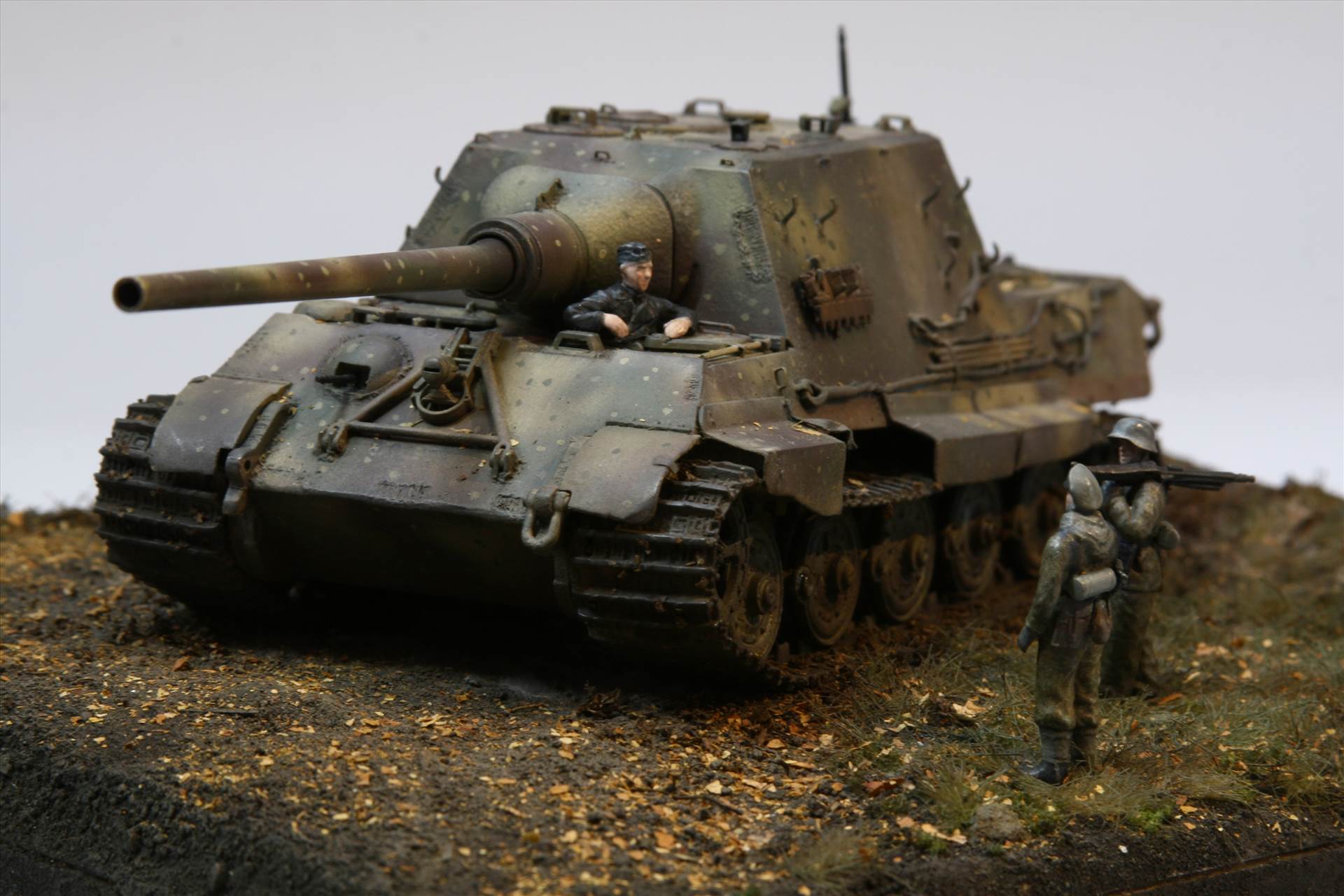 IMG_4016.JPG  by StuartH