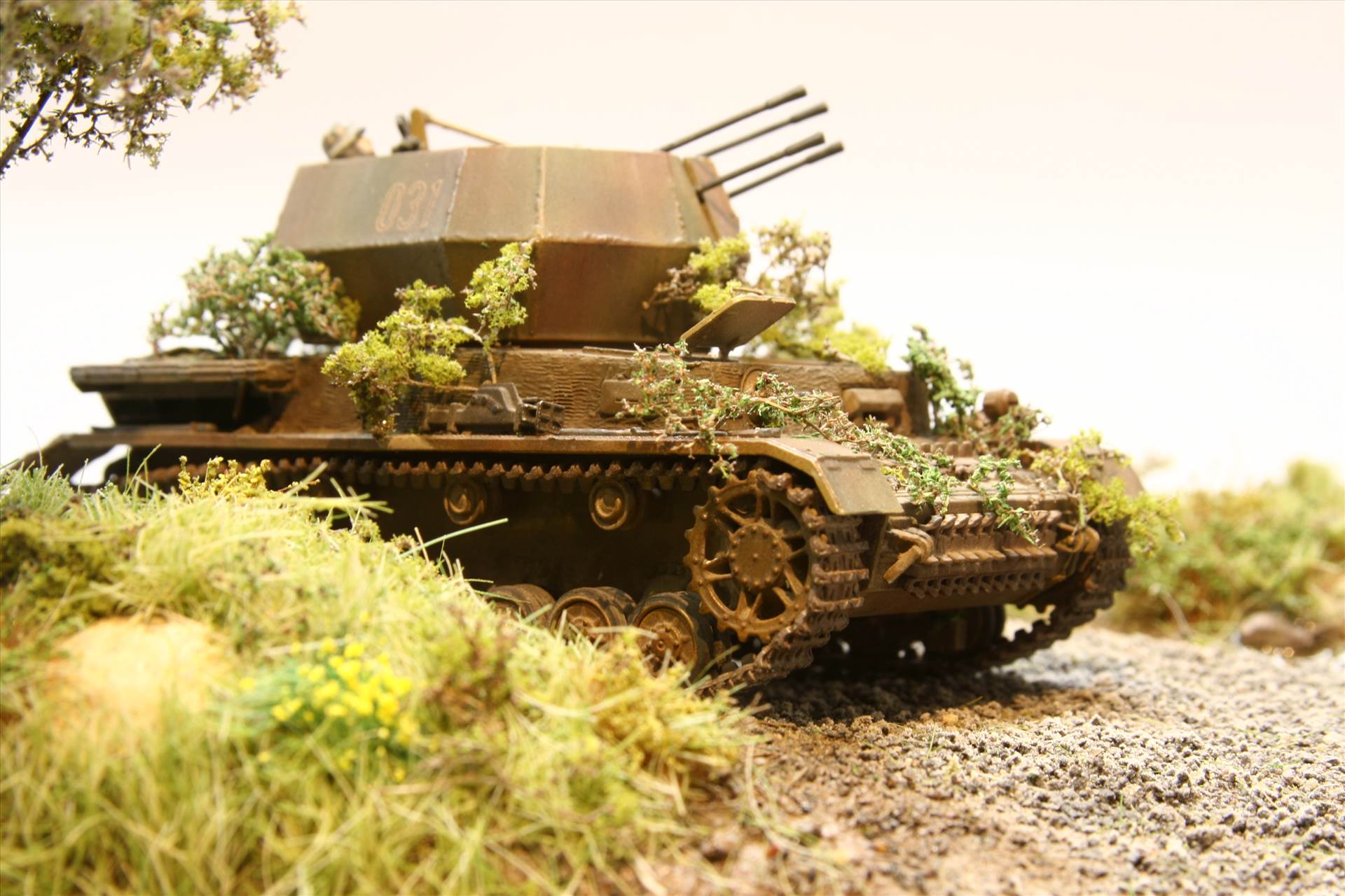 IMG_3663.JPG  by StuartH