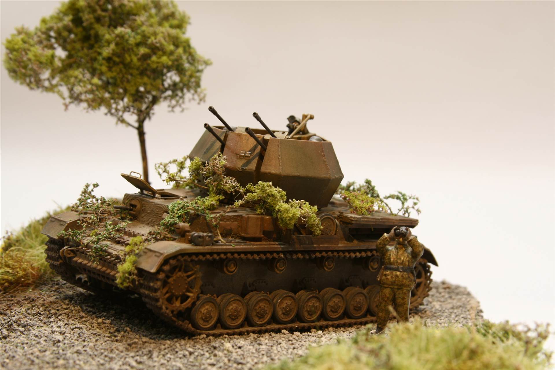 IMG_3665.JPG  by StuartH