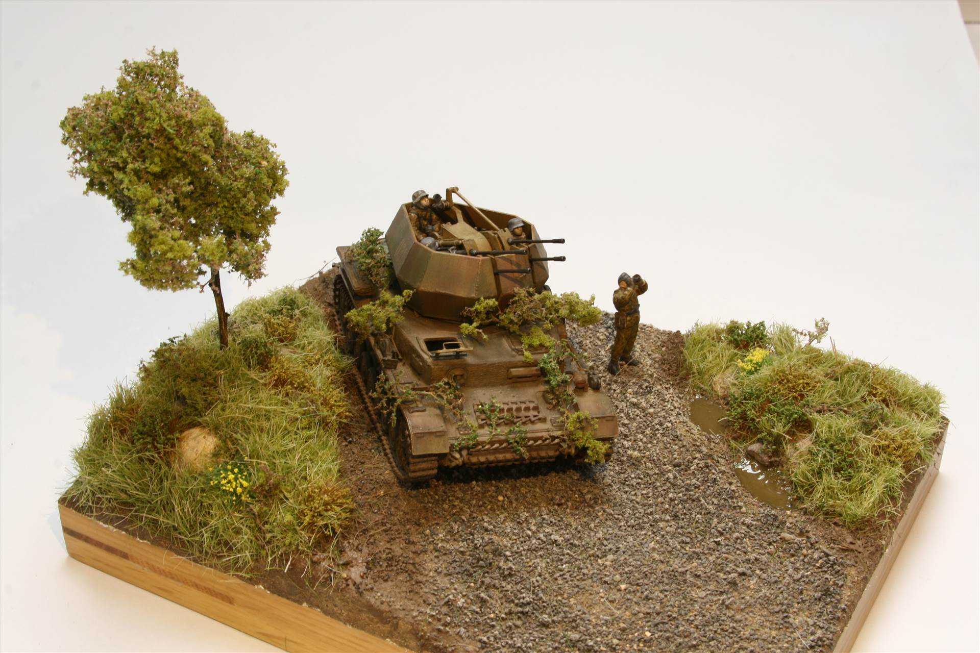 IMG_3647.JPG  by StuartH