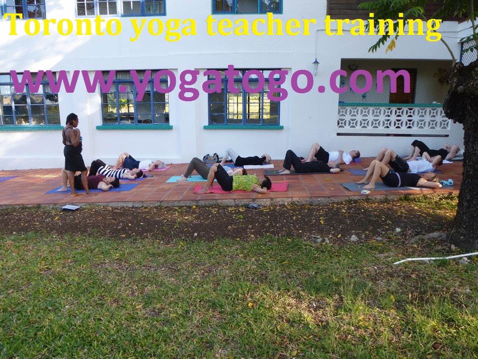 Toronto yoga teacher training Want to learn the art of yoga? Get trained from the best at Yogatogo. with certified Toronto yoga teacher training classes. More details : http://www.yogatogo.com/   Or call us at : 905-525-2426 by yogatogo