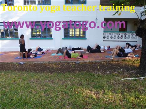 Toronto yoga teacher training by yogatogo