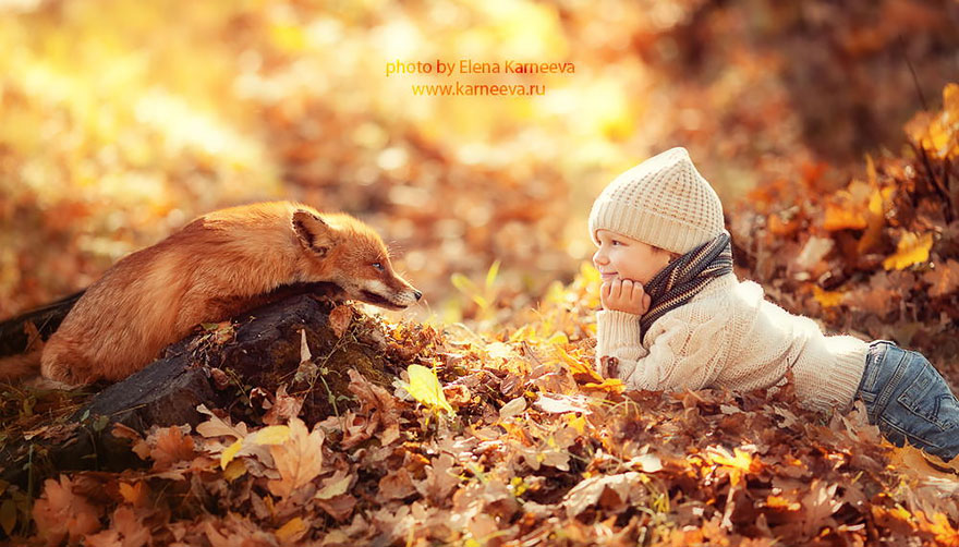 animal-children-photography-elena-karneeva-122__880.jpg  by Acef Ebrahimi