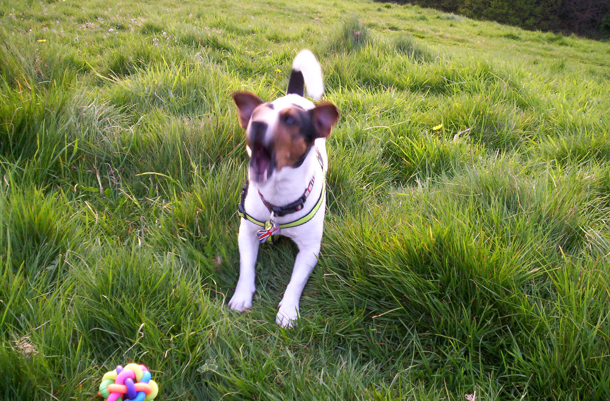 100_6714.JPG  by Matt T