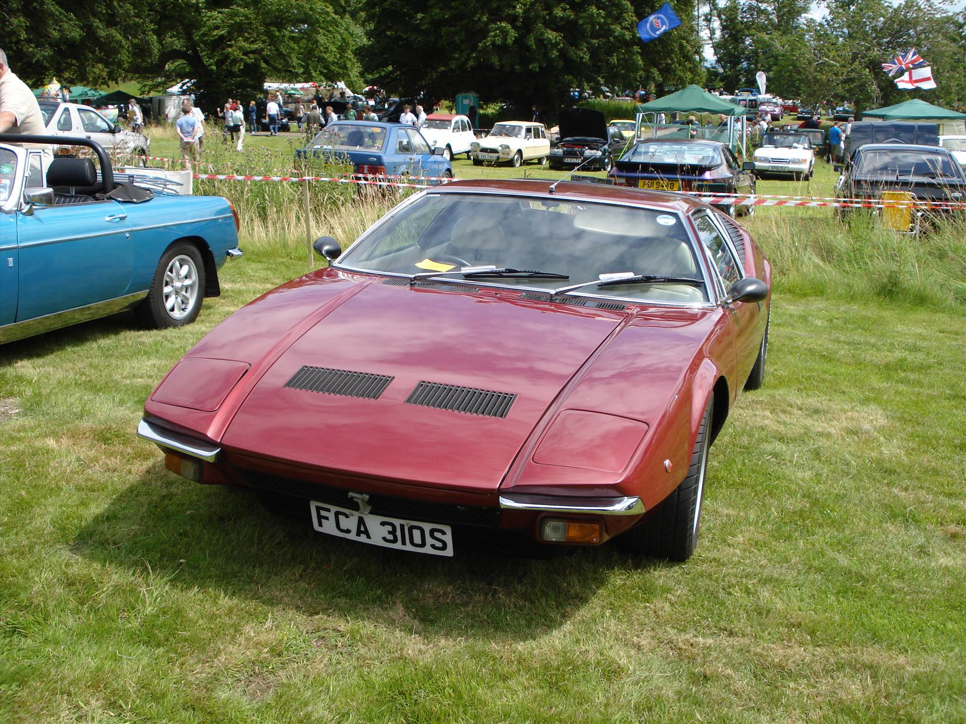 DSC01891.JPG  by Matt T