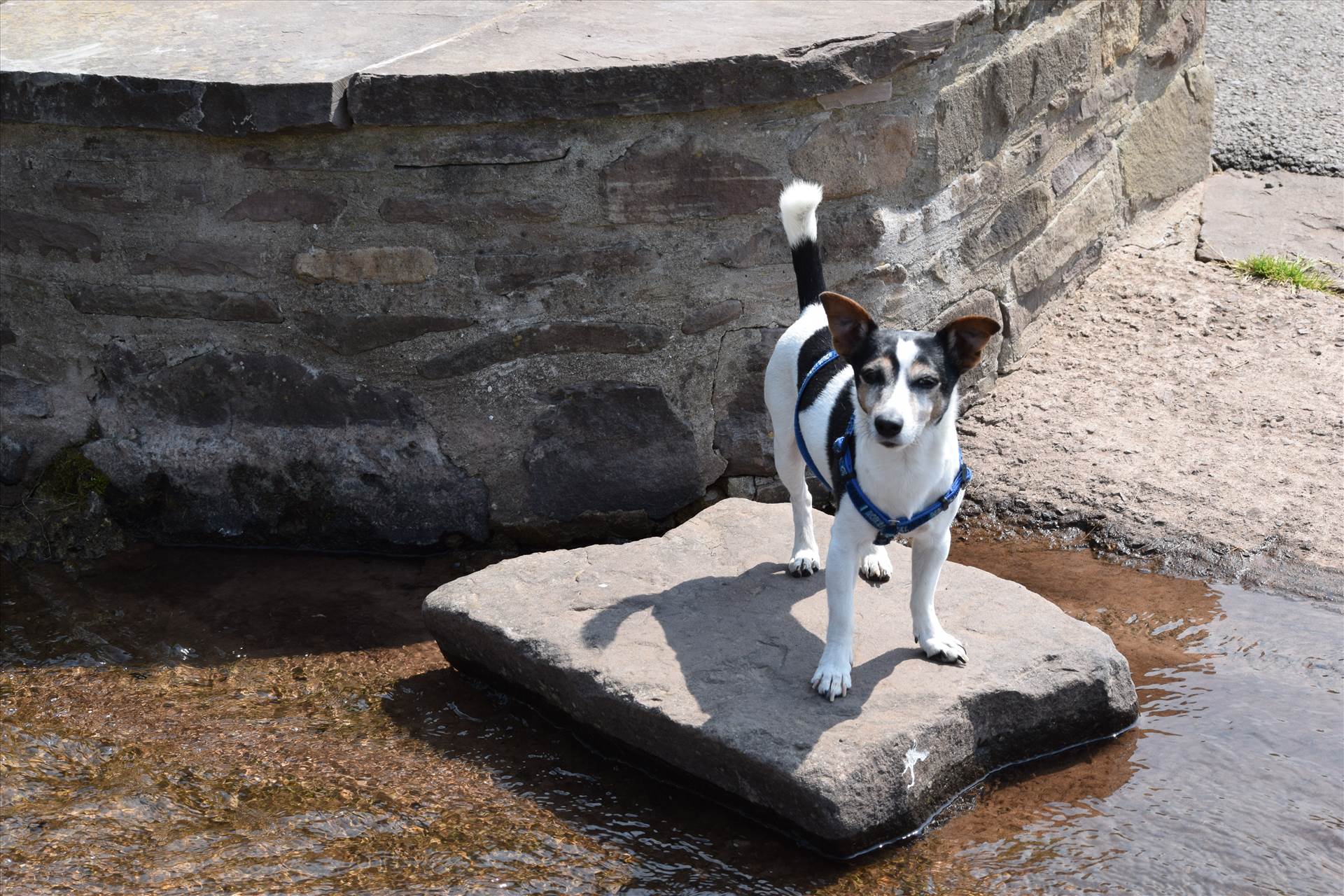 DSC_0324.JPG  by Matt T