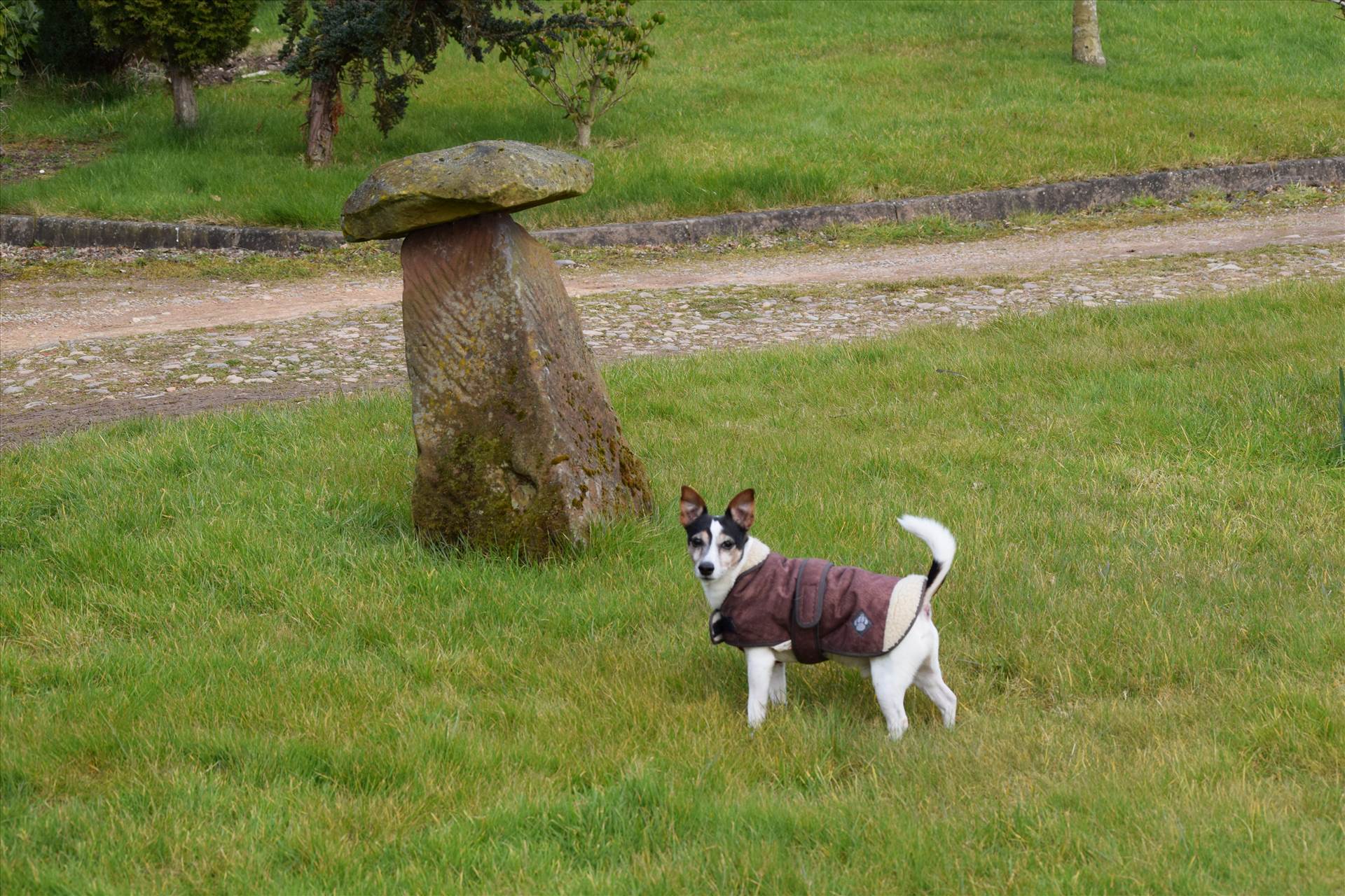 DSC_0206.JPG  by Matt T