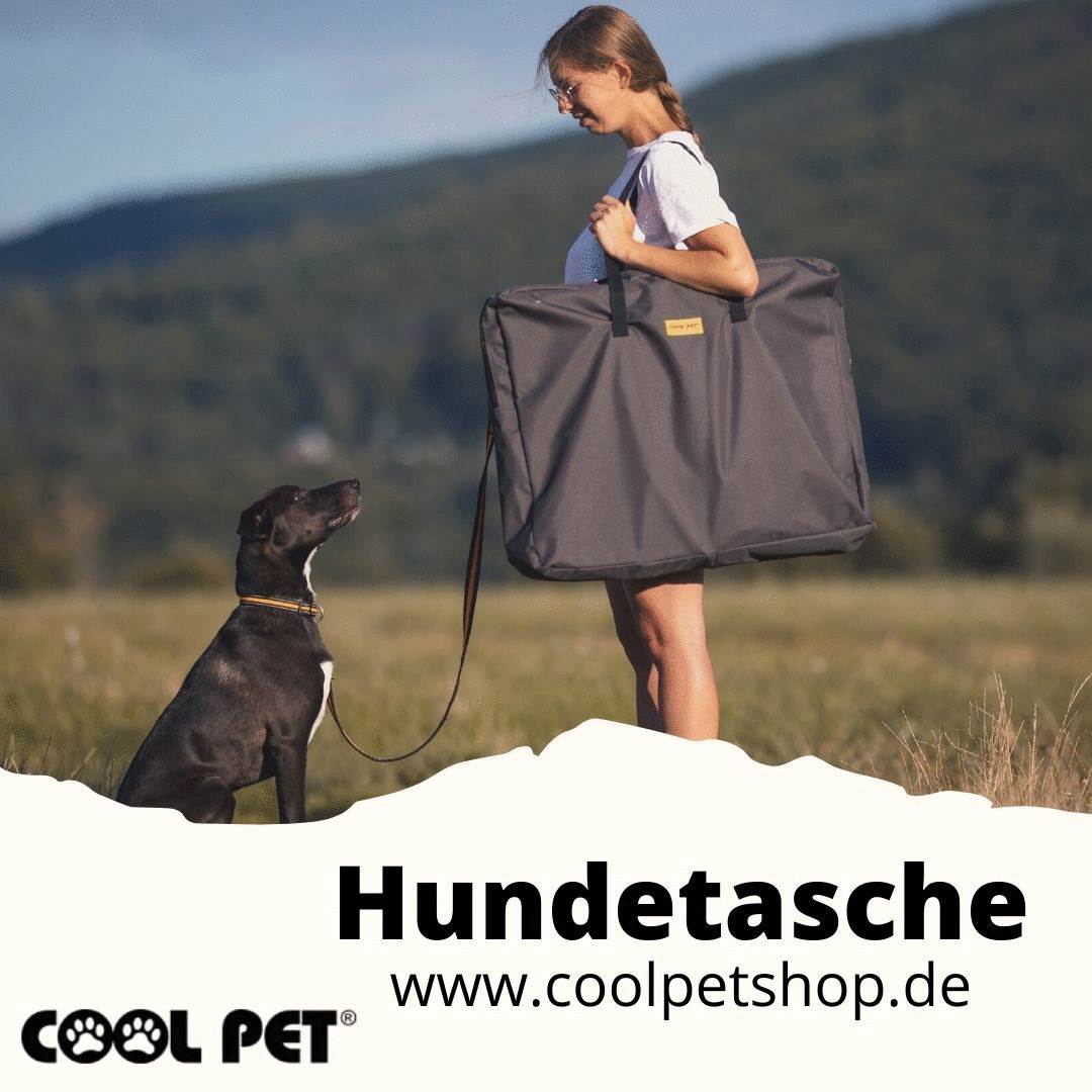 Hundetasche.gif  by Cool Pet Shop