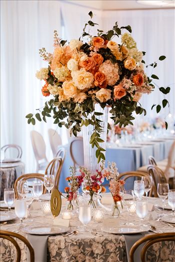 Final-0225.jpg by jennyandjoe