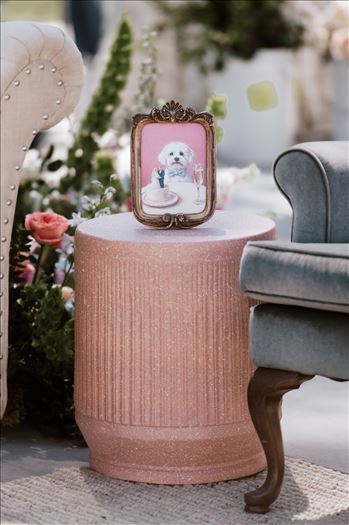 Final-5900.jpg by jennyandjoe