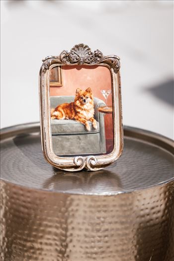 Final-5899.jpg by jennyandjoe