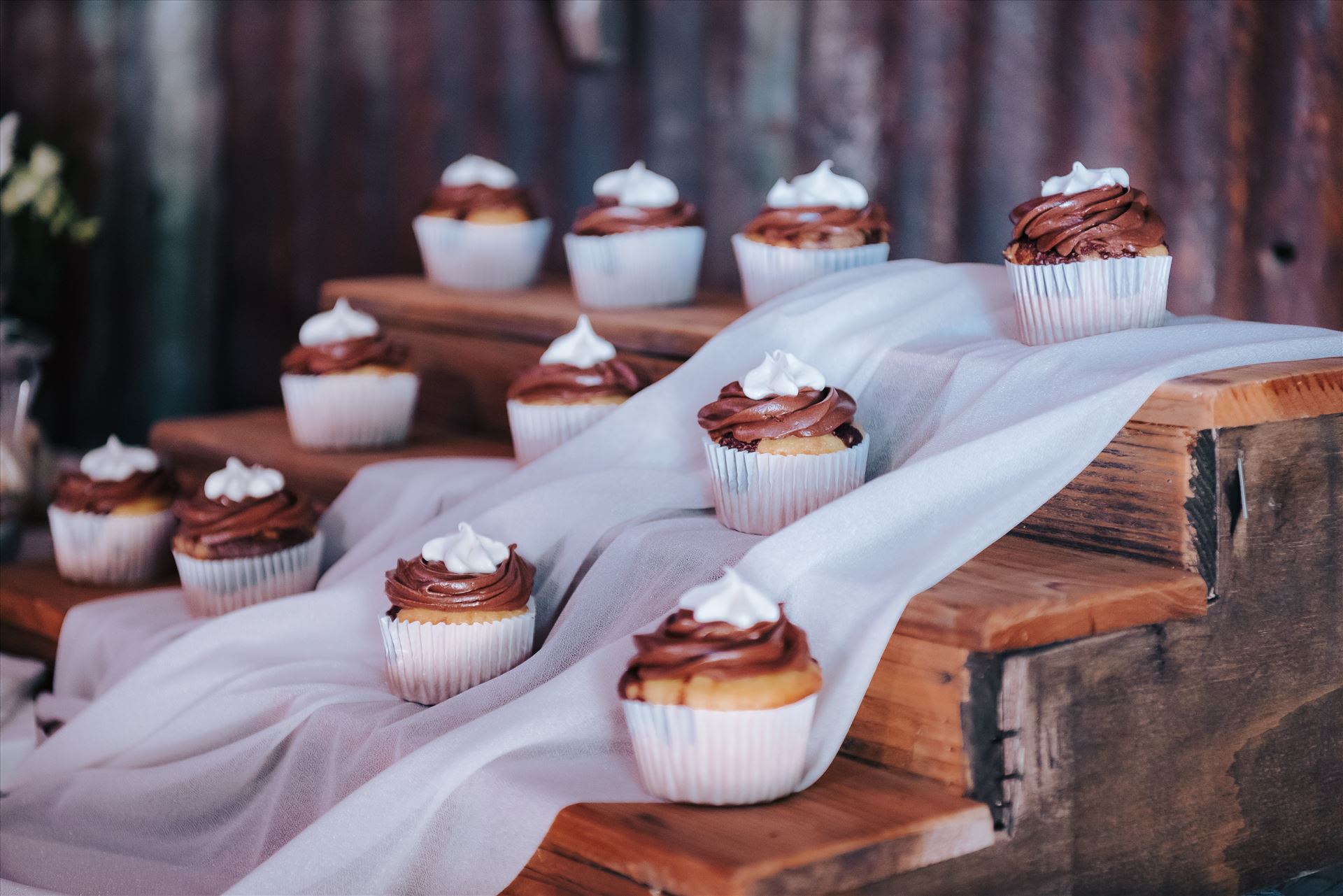 DSC_6054.jpg  by Tricia and Marc