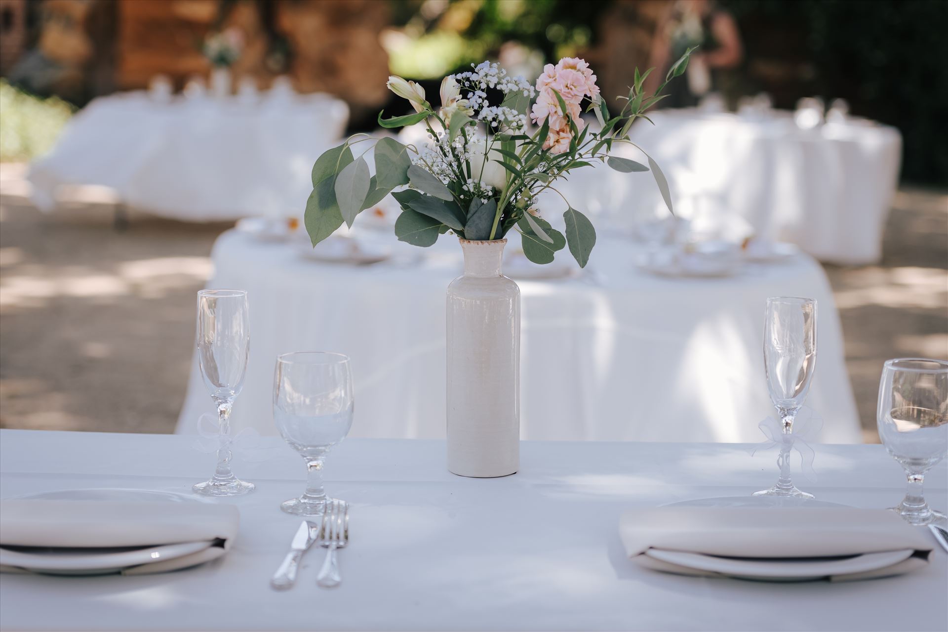 DSC_1561.jpg  by Tricia and Marc