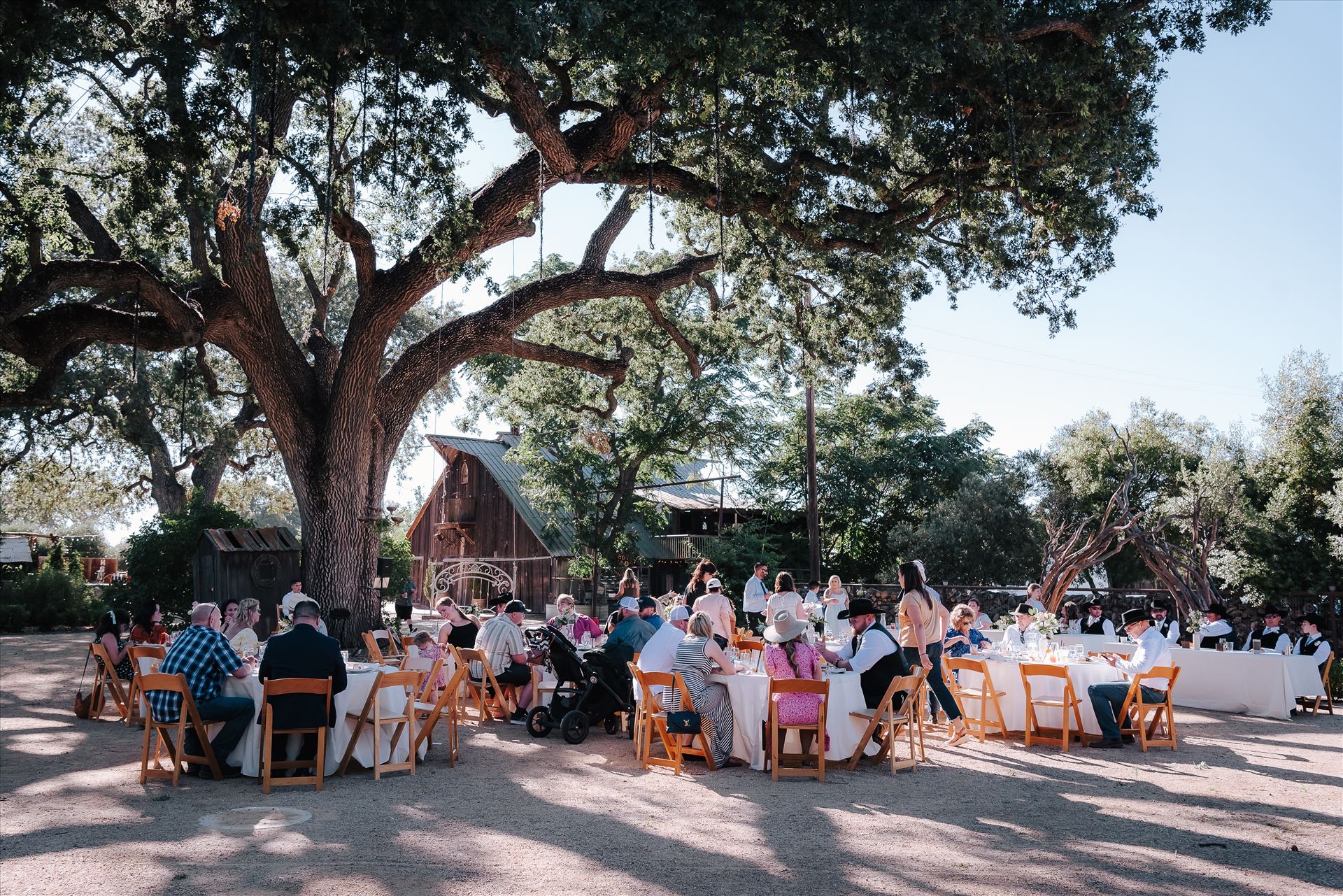 DSC_6022.jpg  by Tricia and Marc