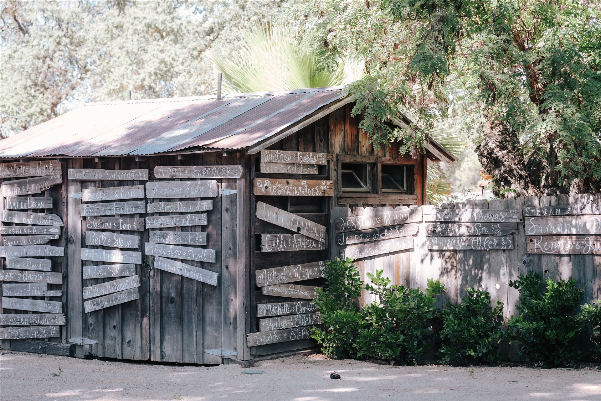 DSC_2033.jpg  by Tricia and Marc