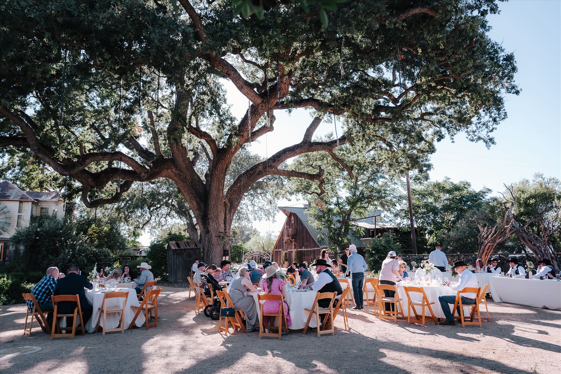 DSC_6023.jpg  by Tricia and Marc