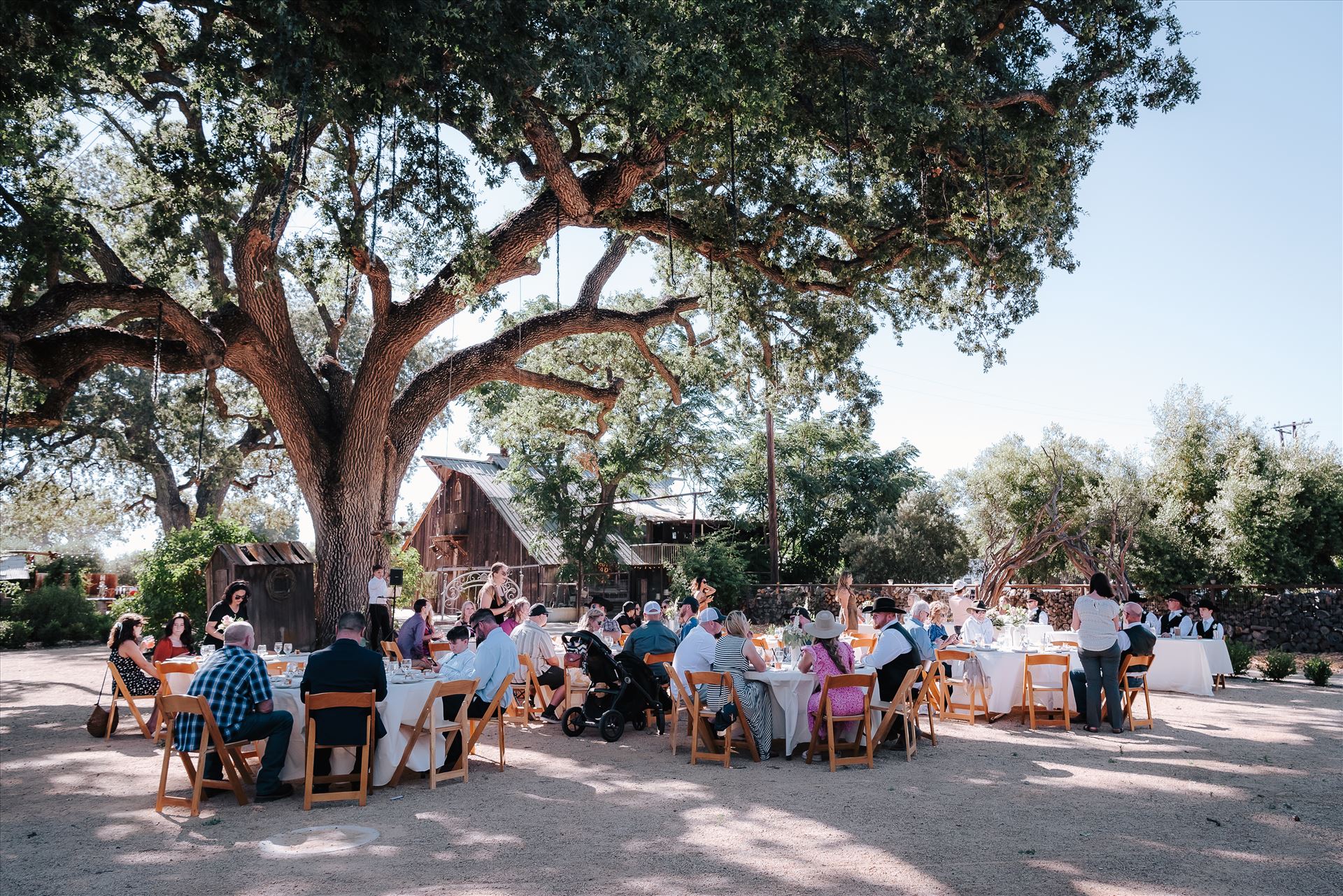 DSC_6005.jpg  by Tricia and Marc