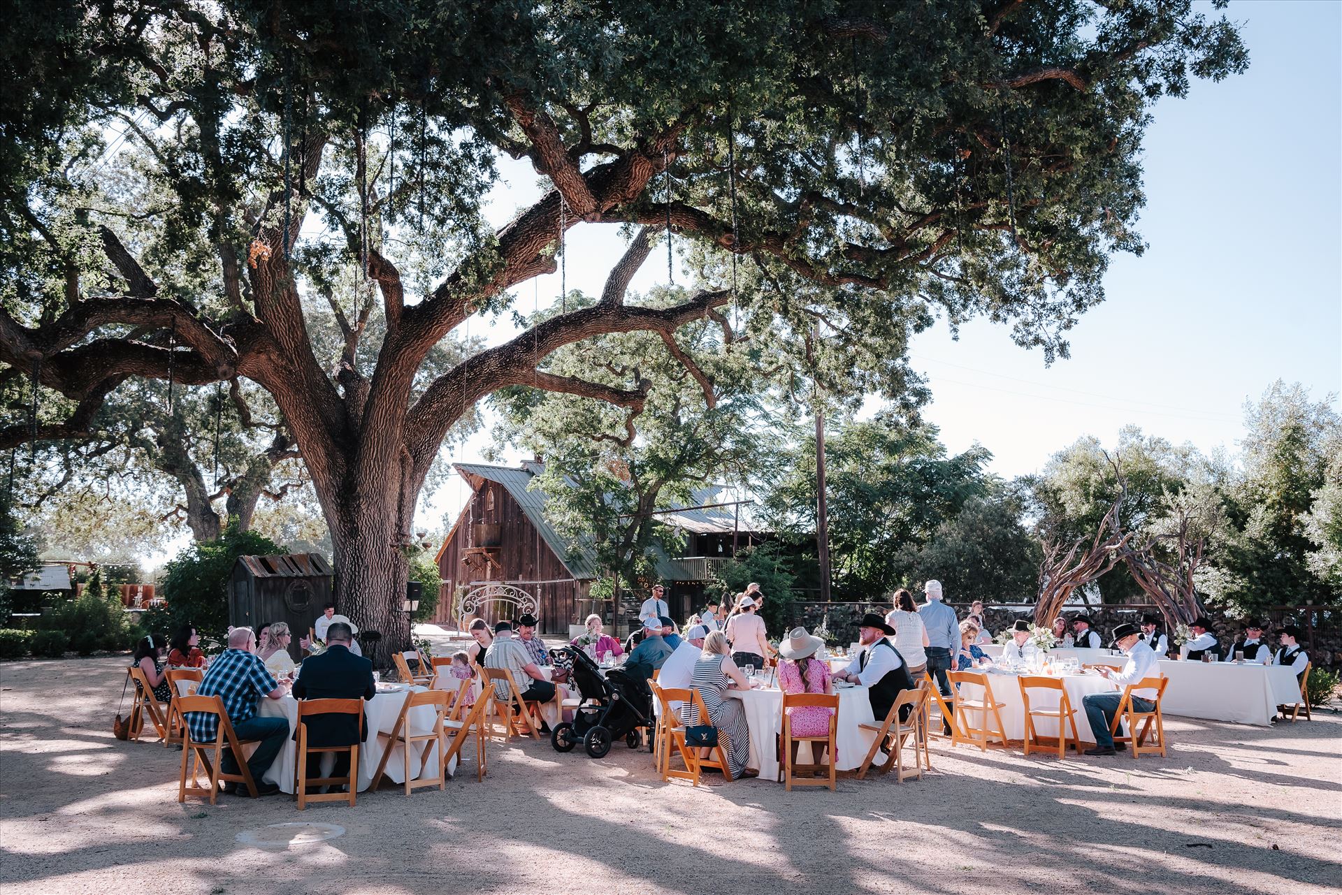 DSC_6019.jpg  by Tricia and Marc