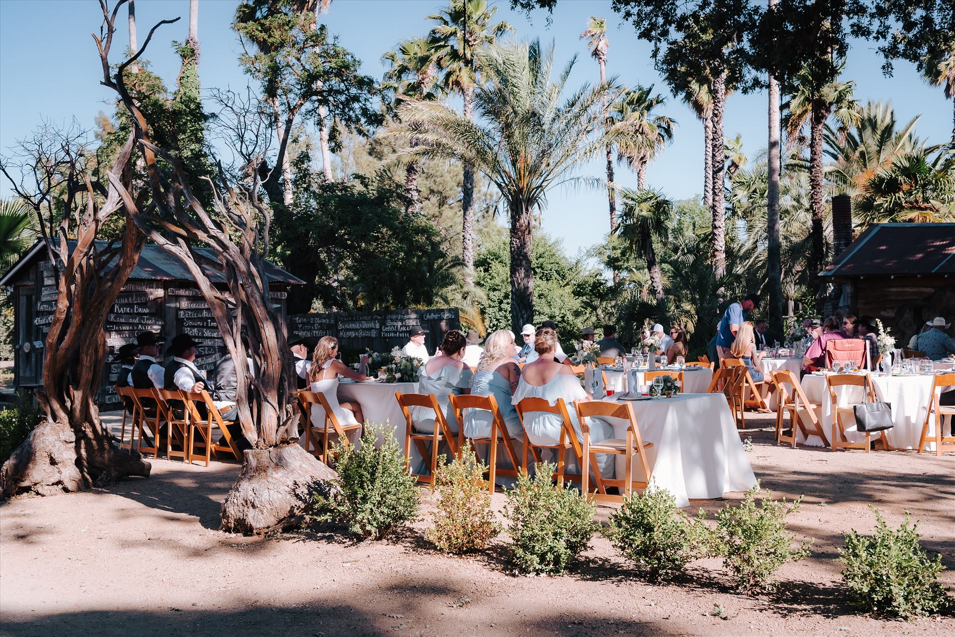 DSC_6017.jpg  by Tricia and Marc