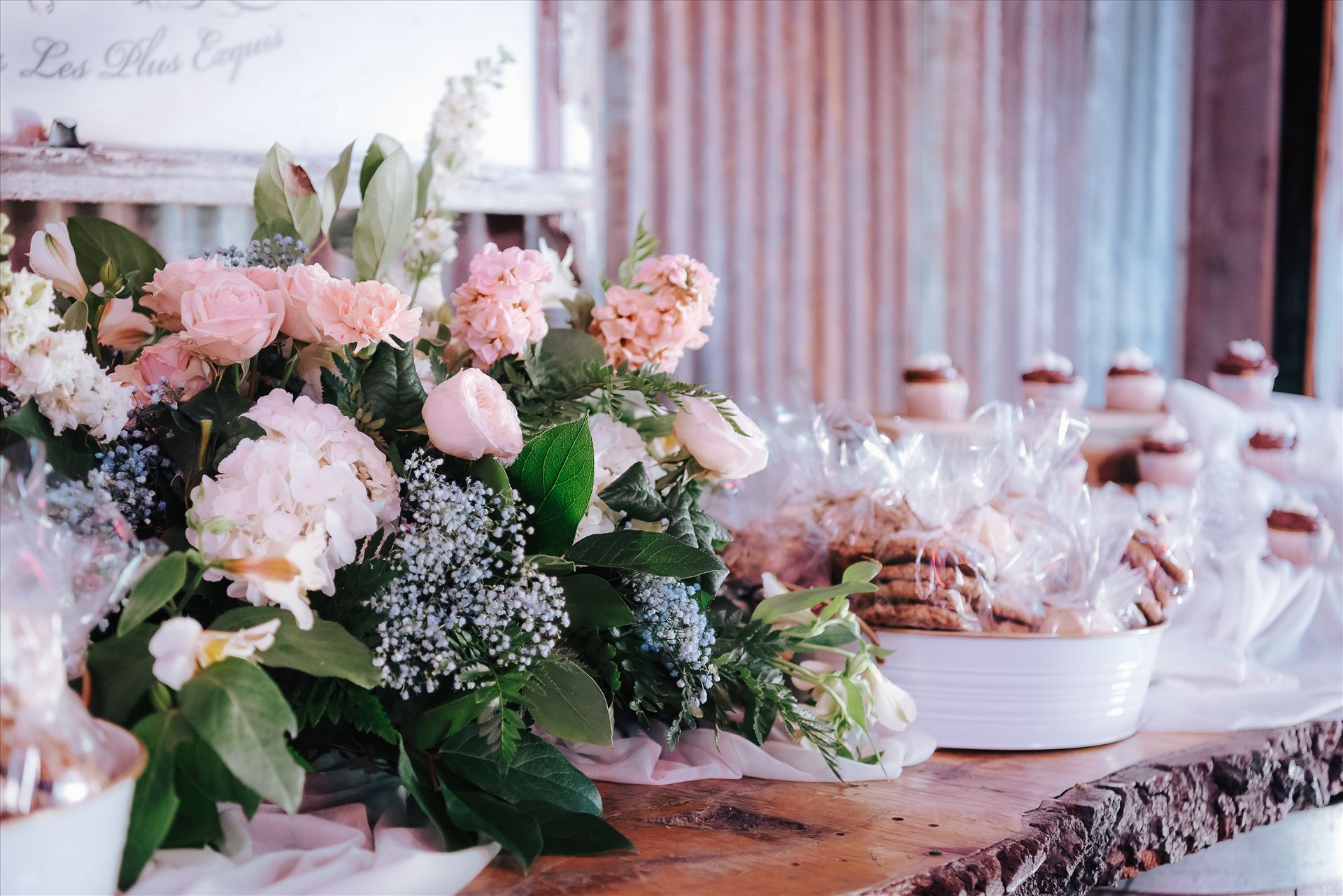 DSC_6052.jpg  by Tricia and Marc