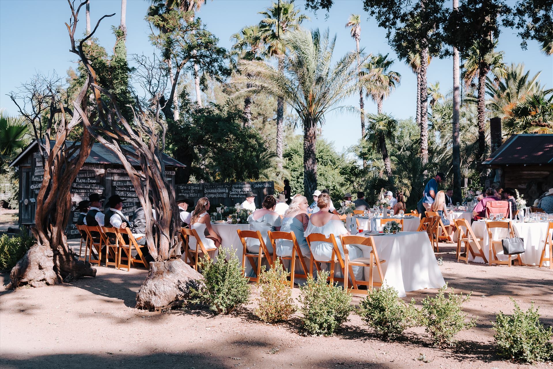 DSC_6015.jpg  by Tricia and Marc