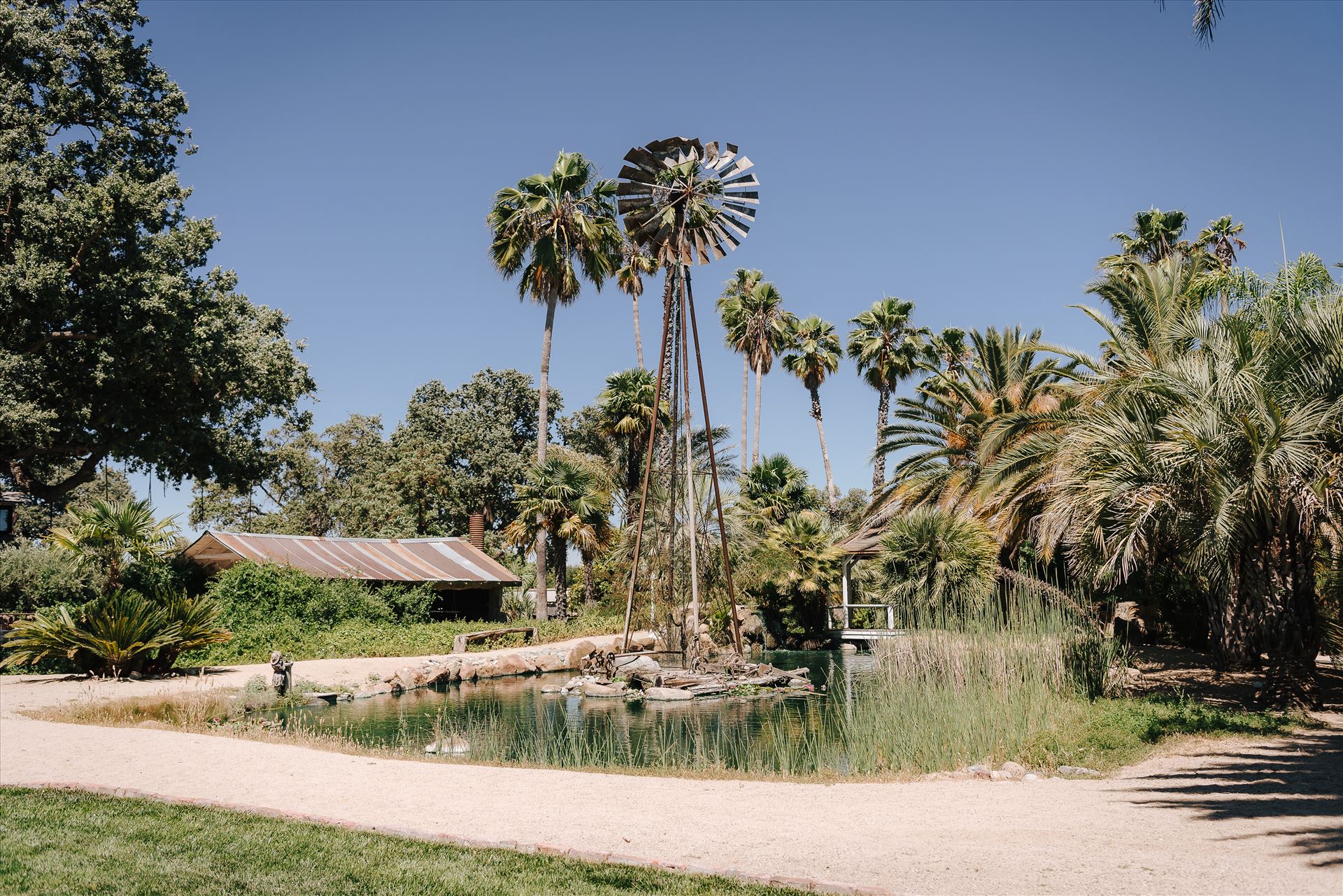 DSC_5641.jpg  by Tricia and Marc