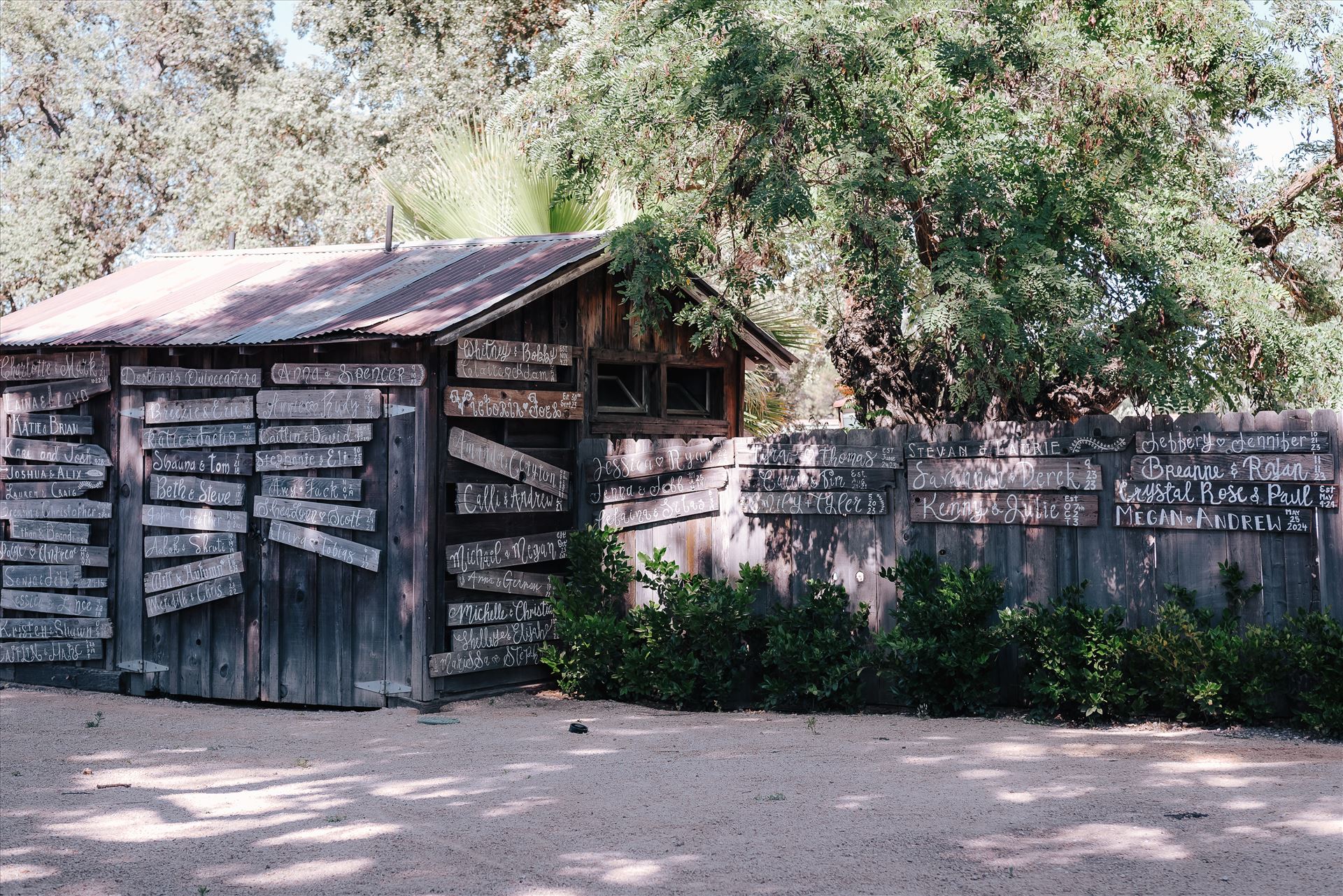 DSC_5975.jpg  by Tricia and Marc