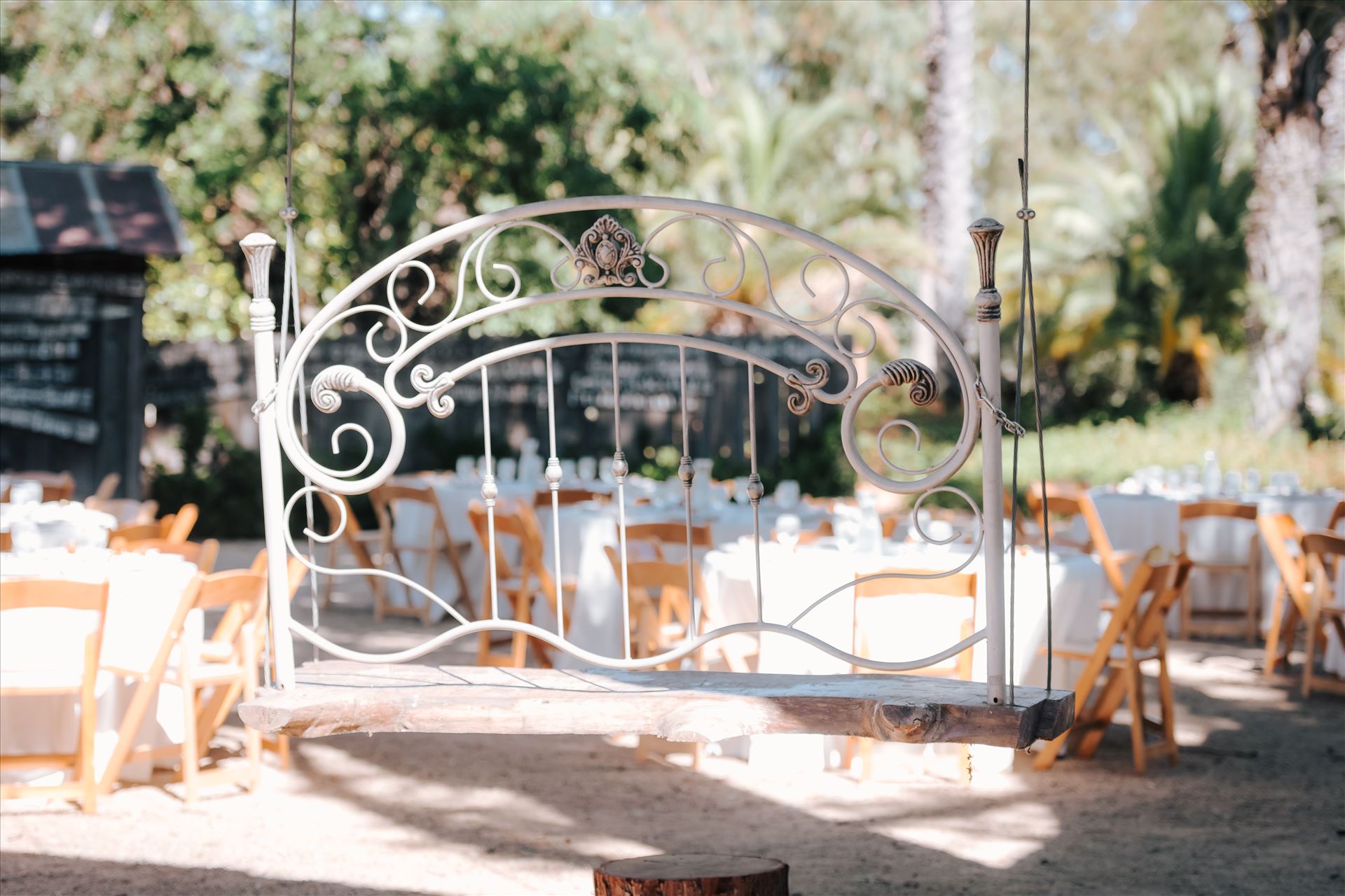 DSC_2122.jpg  by Tricia and Marc