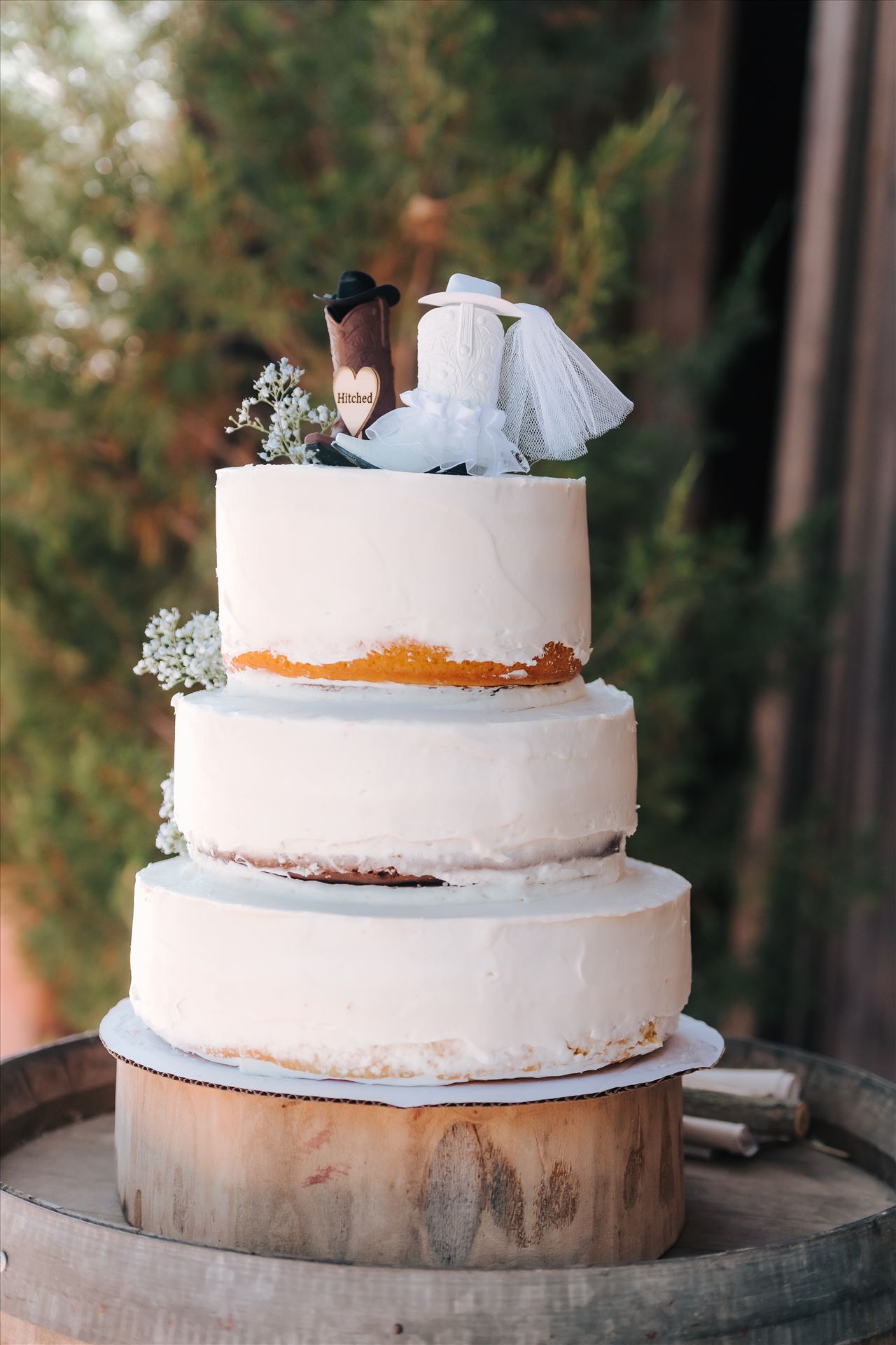 DSC_2583.jpg  by Tricia and Marc