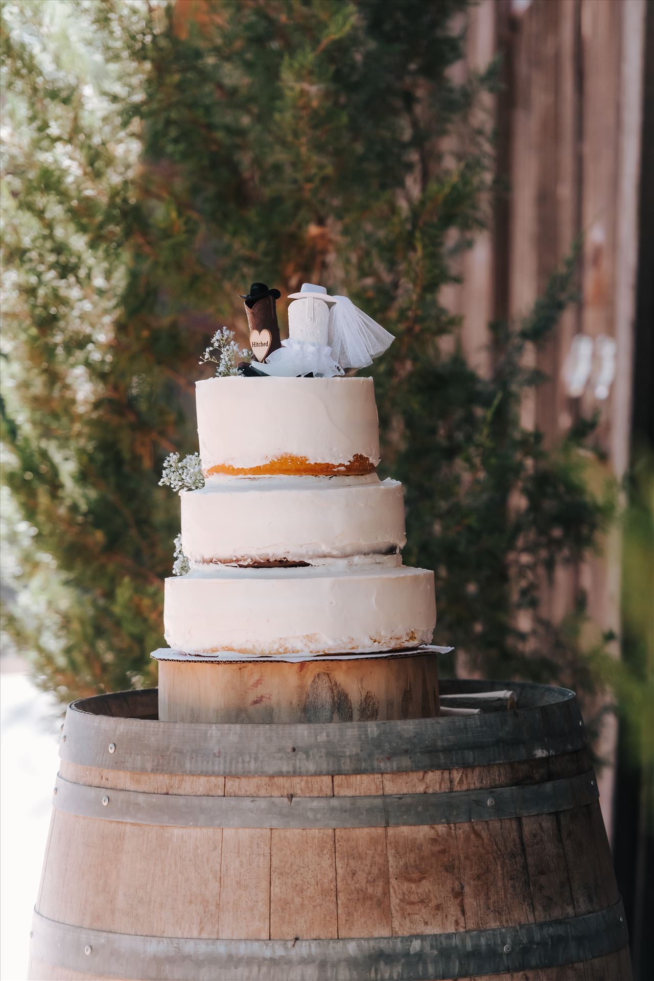 DSC_2590.jpg  by Tricia and Marc