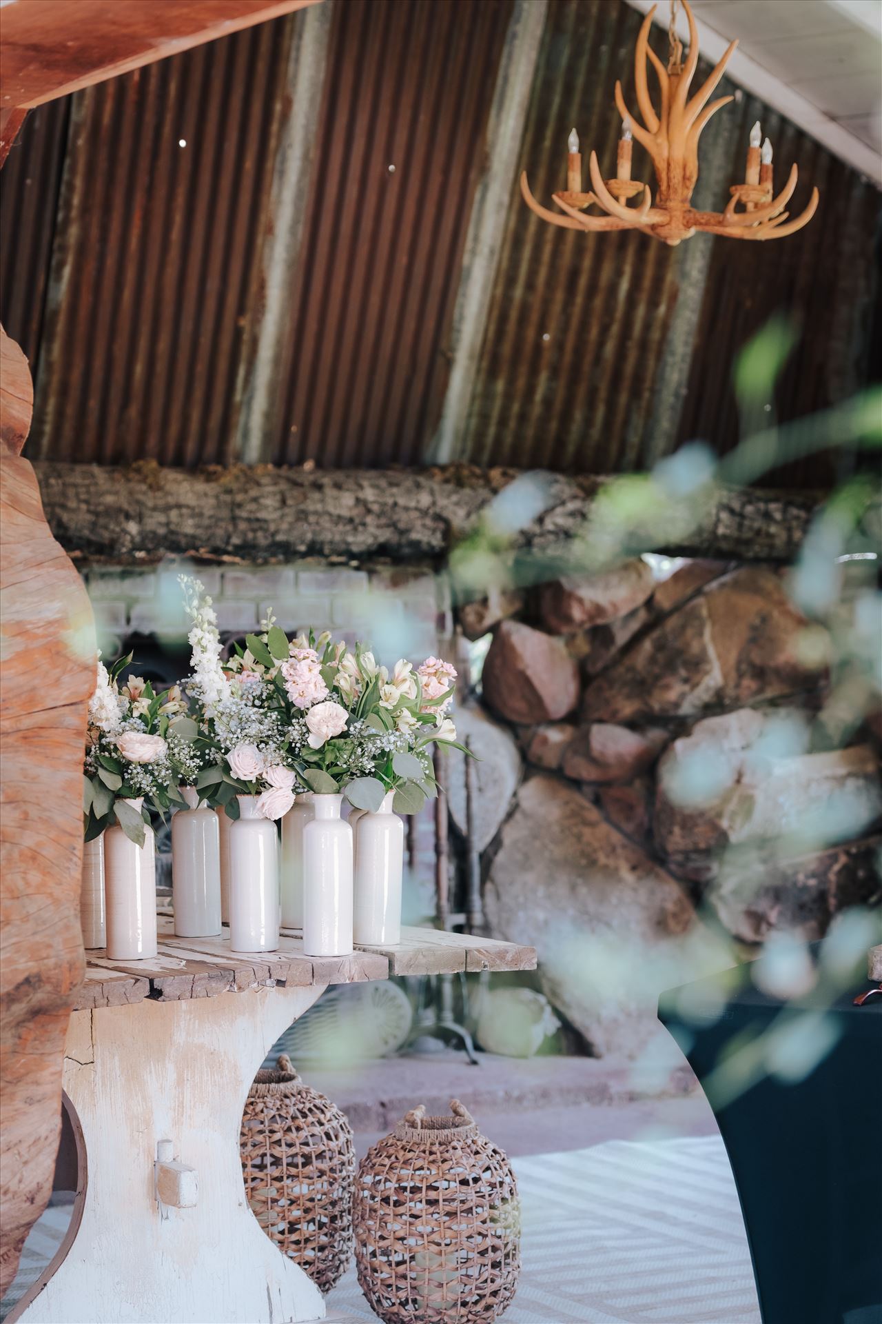 DSC_2035.jpg  by Tricia and Marc