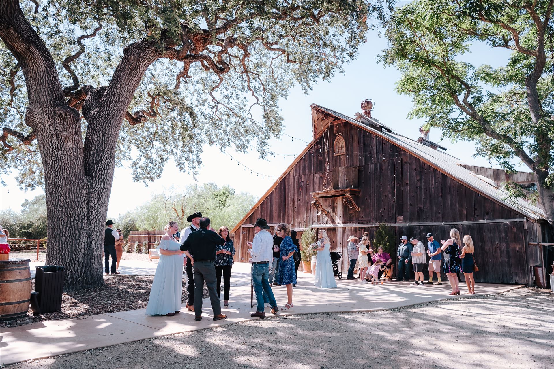 DSC_5976.jpg  by Tricia and Marc