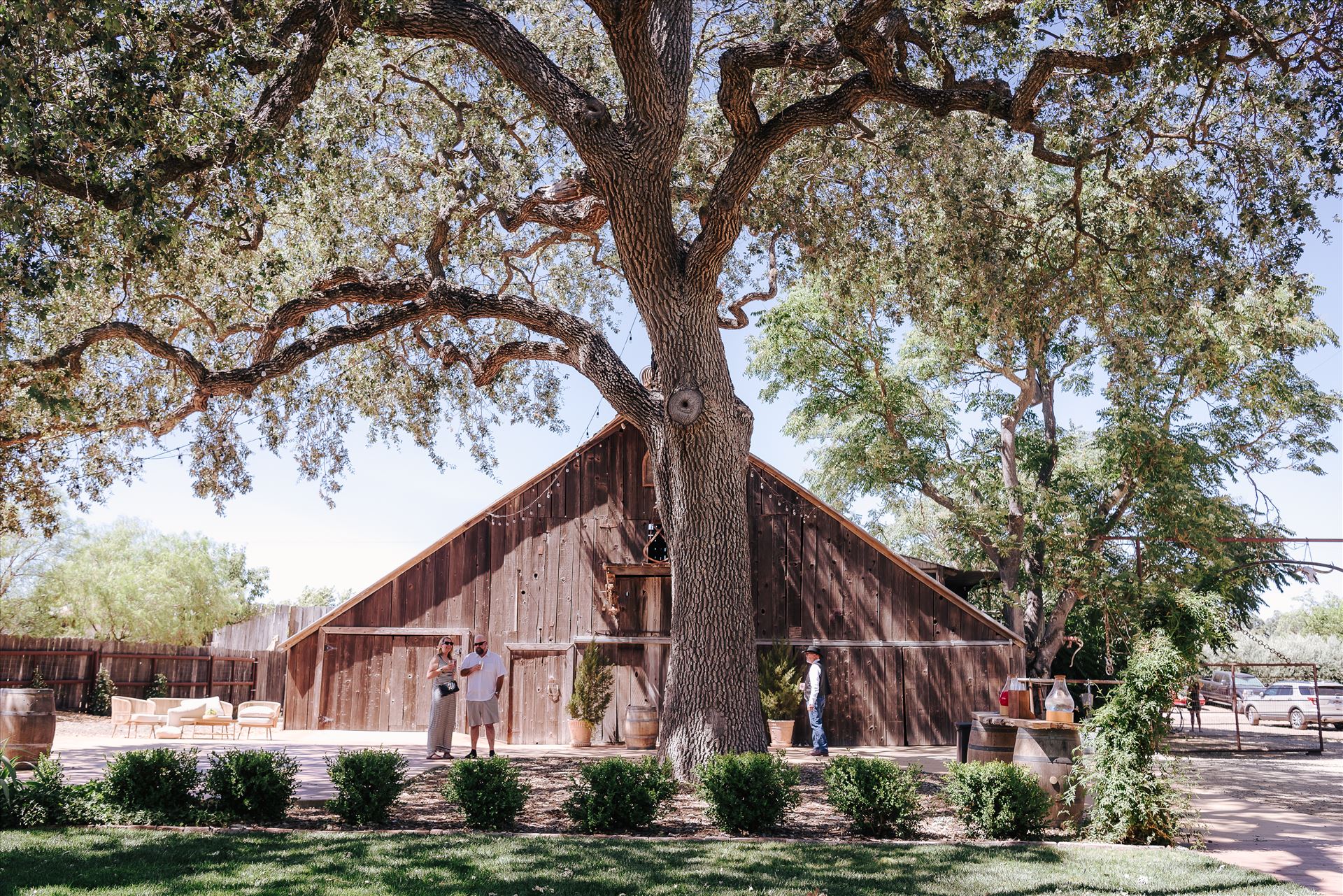 DSC_5679.jpg  by Tricia and Marc