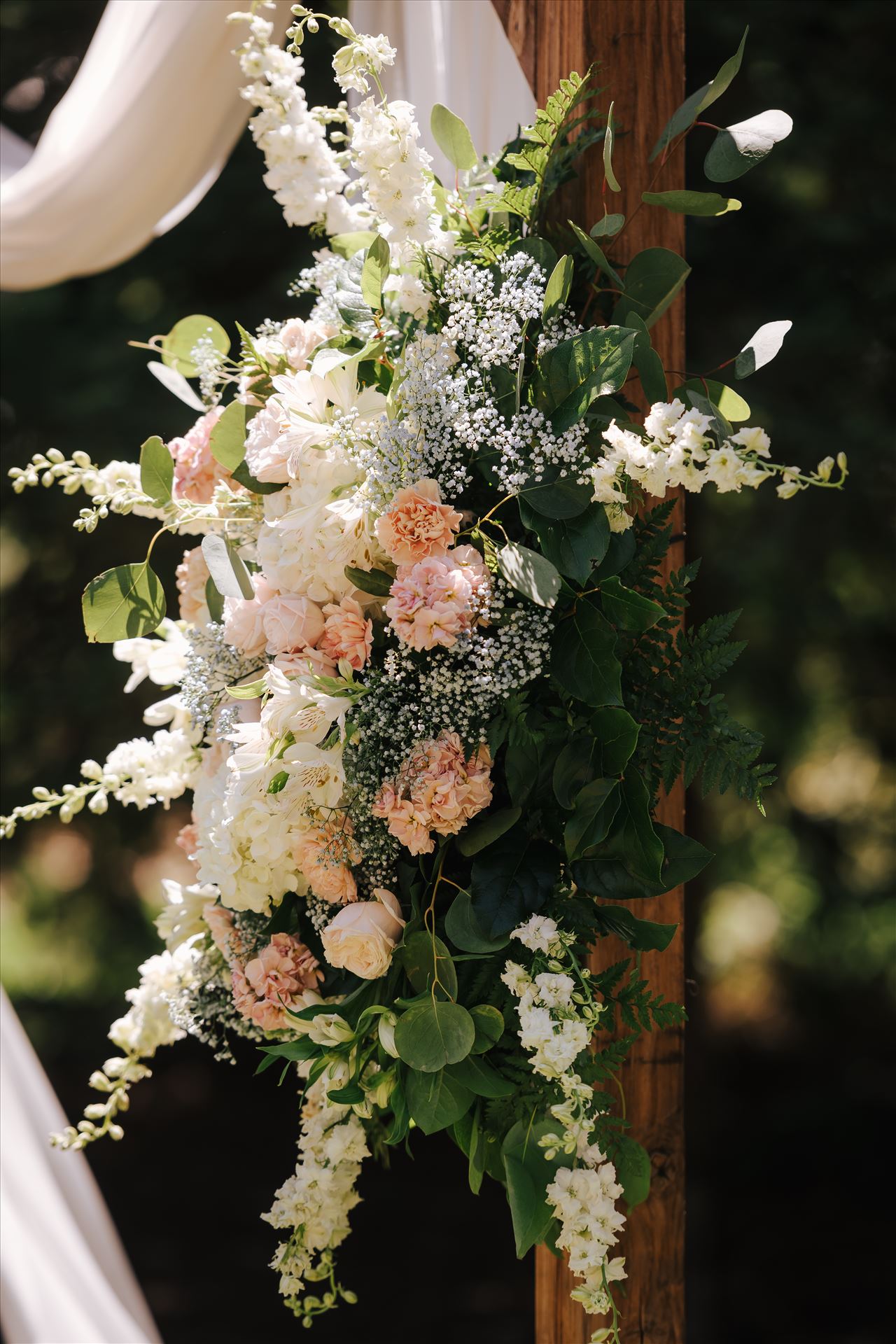 DSC_1557.jpg  by Tricia and Marc