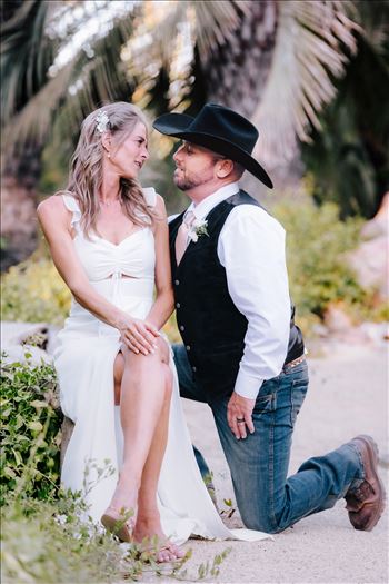 New Final BG-6.jpg - 