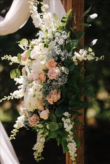 DSC_1557.jpg by Tricia and Marc