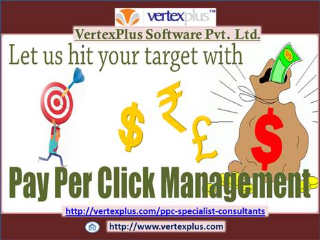Avail the Services of PPC Management Company India at VertexPlus Software by vertexplus