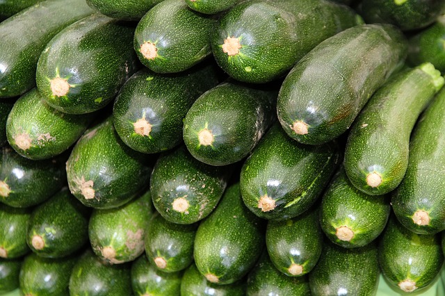 Export Green zucchini.jpg  by createrseo