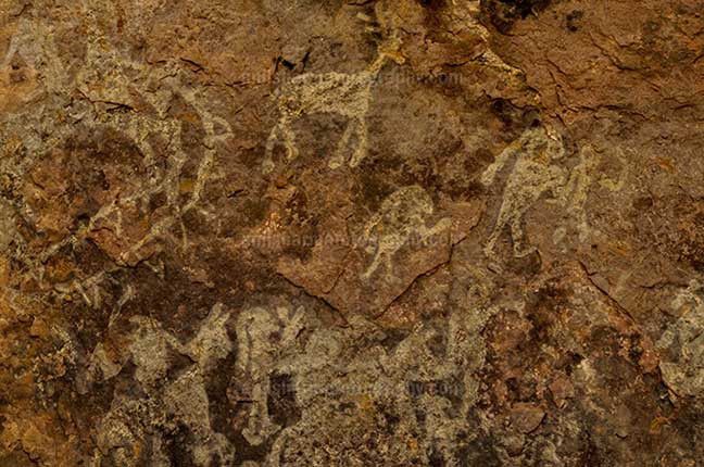 Archaeology- Bhimbetka Rock Shelters Prehistoric Rock Painting showing worriers on the  horses in white color at Bhimbetka archaeological site by Anil Sharma Photography