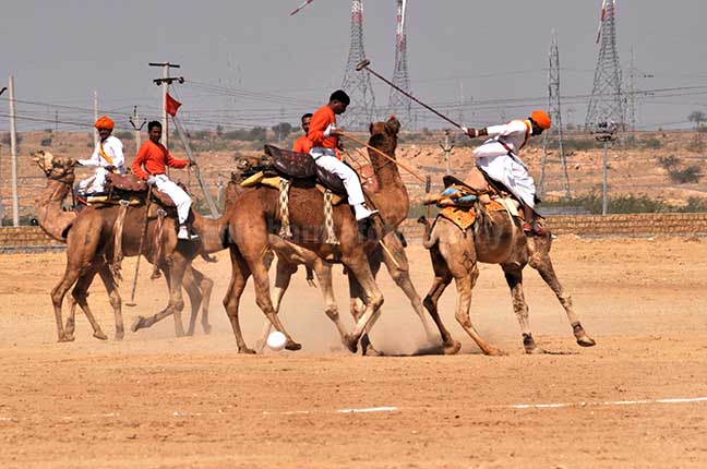 Festivals: Jaisalmer Desert Festival Rajasthan (India) Camel polo match at Jaisalmer desert festival. by Anil Sharma Photography