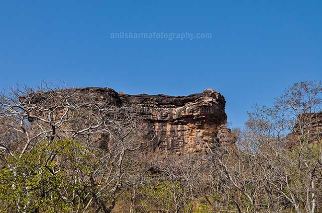 Archaeology- Bhimbetka Rock Shelters Bhimbetka Rock Shelters at Bhimbetka forest in Ratapani Sanctuary, Raisen. by Anil Sharma Photography